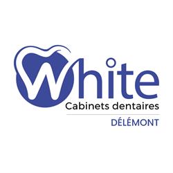 Logo White - Delémont Sàrl